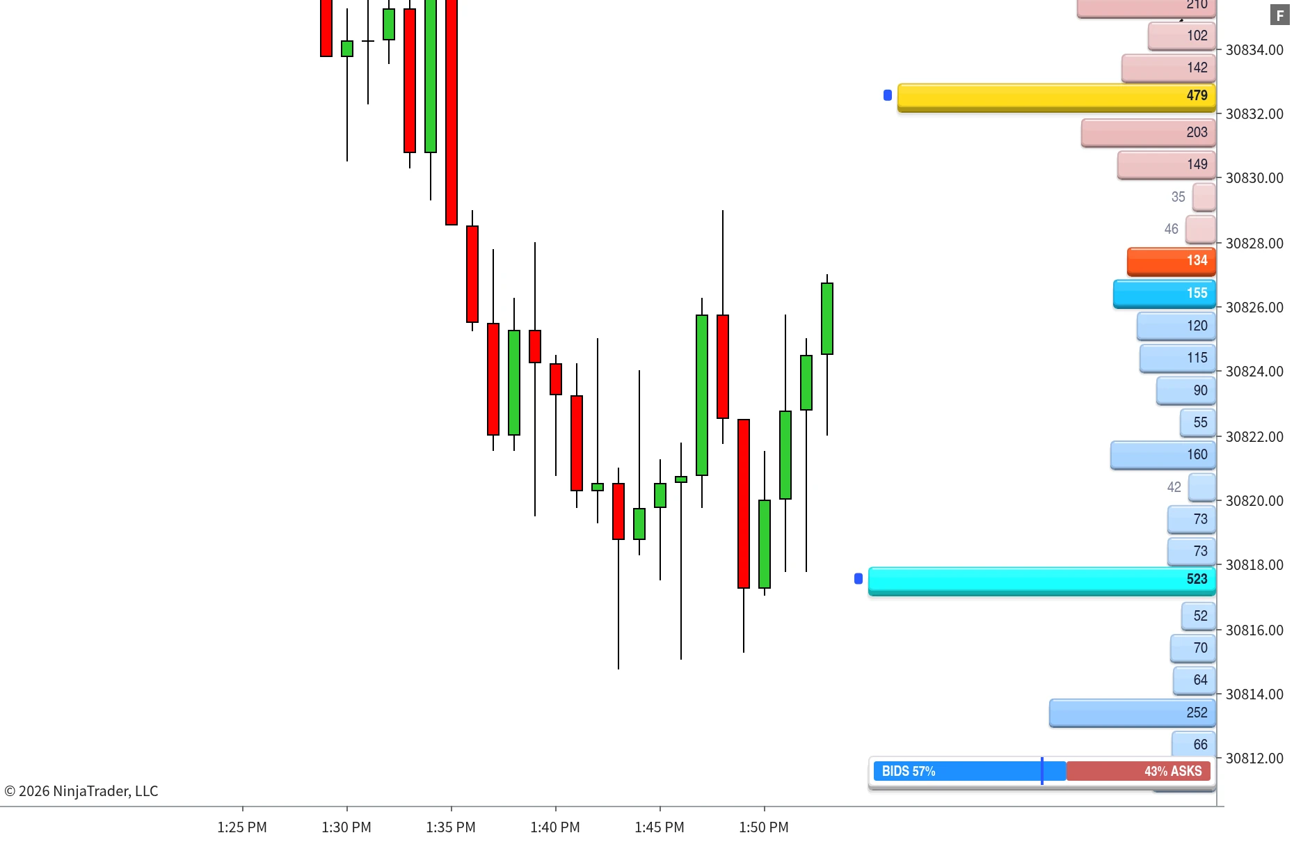 TrackTicks Market Depth live order book drawn beside price on a NinjaTrader 8 chart