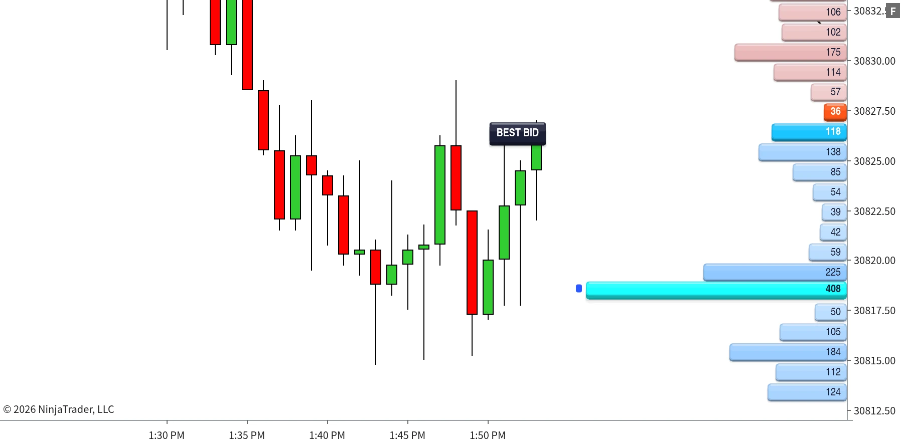 Market Depth ladder with the best bid and ask highlighted beside NinjaTrader 8 candles